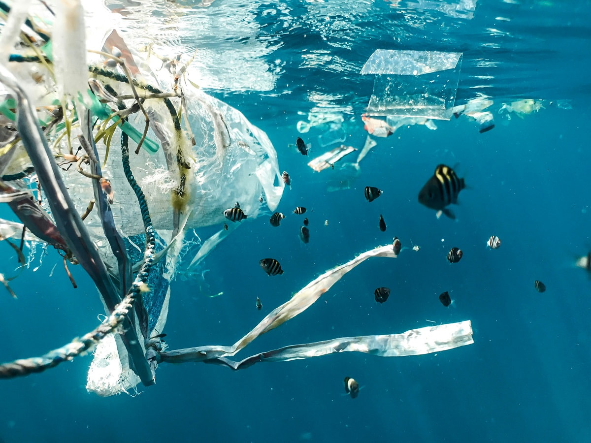 Southeast Asia has been identified as both a contributor and a victim of plastic pollution in the Pacific Ocean (Naja Bertolt Jensen/Unsplash)